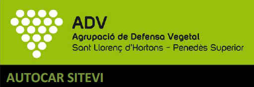ADV_SITEVI