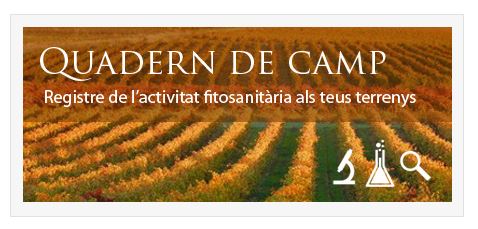 Quadern de camp