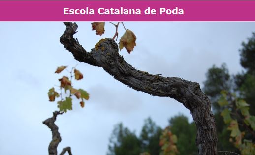 escola catalana de poda