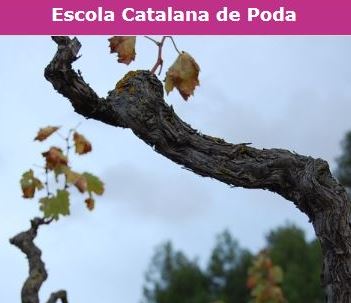 escola catalana de poda